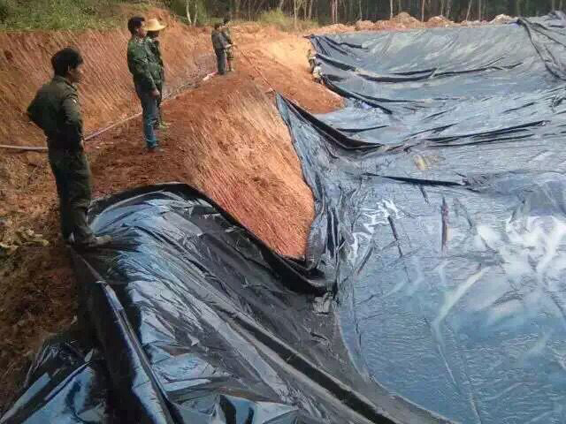 1-1Z3231106250-L.jpg 1-1Z3231106250-L.jpg