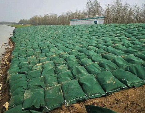 生態(tài)袋.png 生態(tài)袋.png